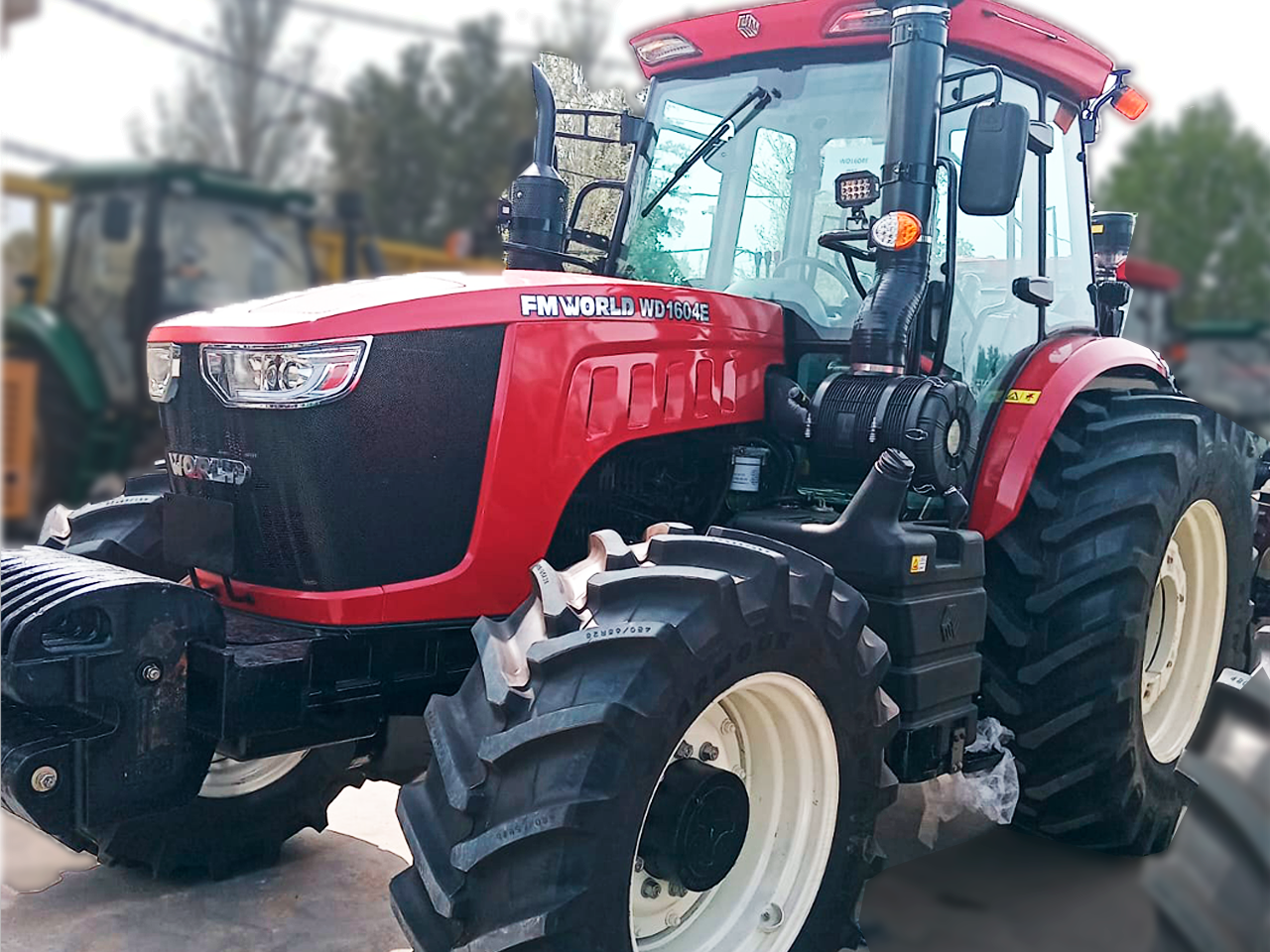 rs1604