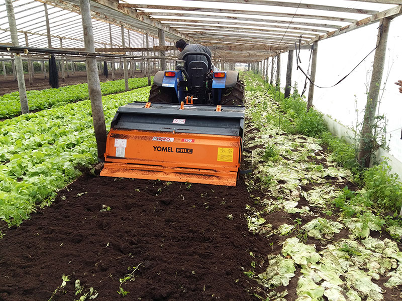 toro-1700